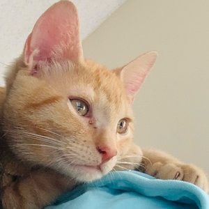 Meet your Posher, Marian